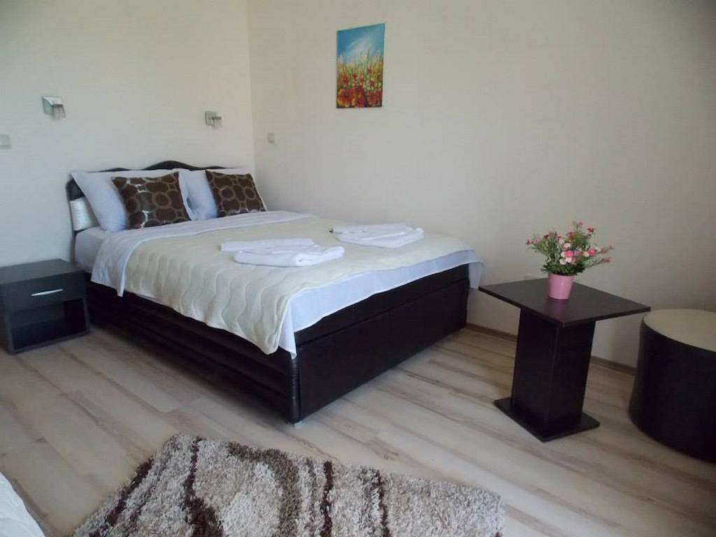 Guesthouse Vila Dnd Niska Banja Bilik gambar