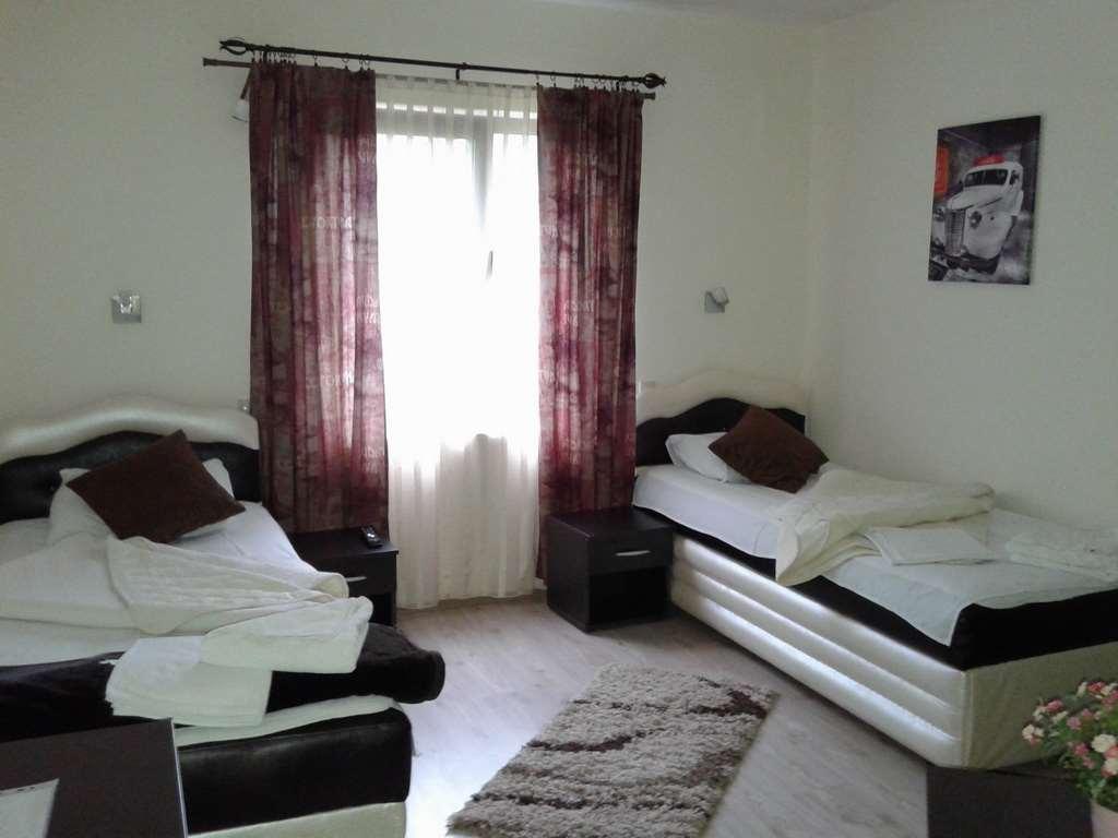 Guesthouse Vila Dnd Niska Banja Bilik gambar