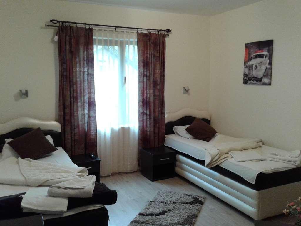 Guesthouse Vila Dnd Niska Banja Bilik gambar