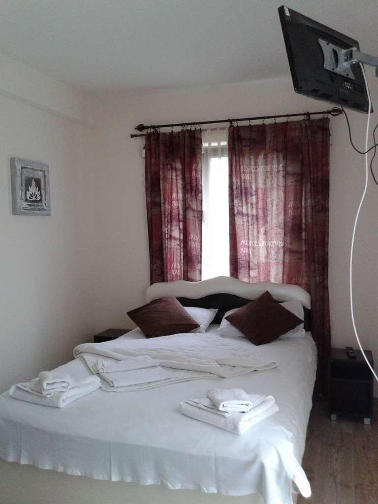 Guesthouse Vila Dnd Niska Banja Bilik gambar
