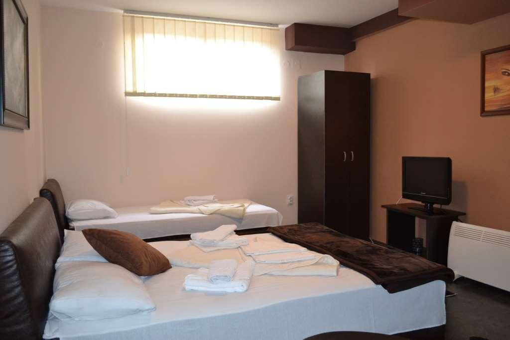 Guesthouse Vila Dnd Niska Banja Bilik gambar